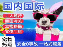 文山砚山航空物流国际宠物托运 【国